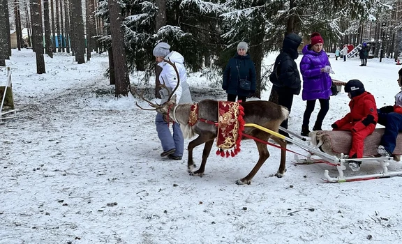 «В гости к Зимнему Волшебнику на денек» (1 день) Котлас 🎄